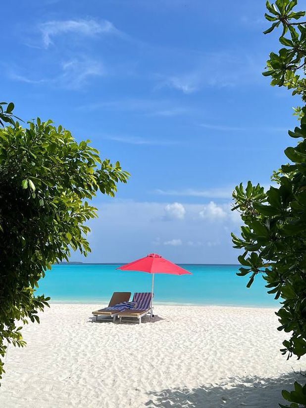  🌴🚤 Escape to Heaven: Unveiling the Charm of Hondaafushi Island Resort