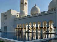 Modern Oasis Vibes🌴