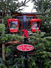 Winter Market Magic🎄