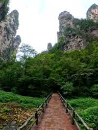 Как Увидеть парк Аватар без толп!