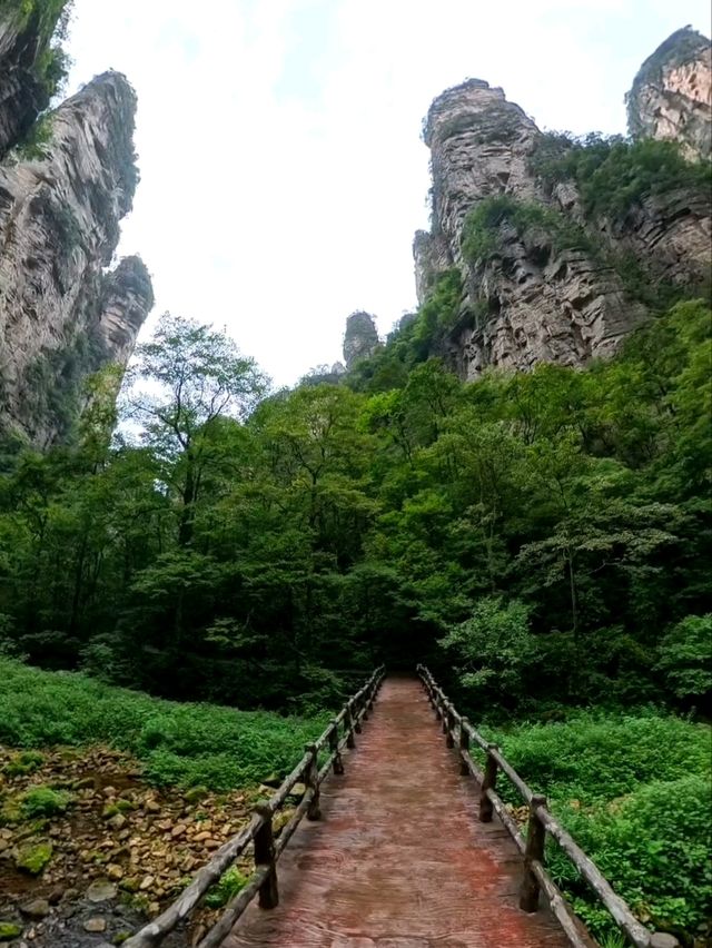 Как Увидеть парк Аватар без толп!