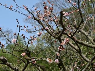 스트레이는 자연과의 단순하면서도 의미 있는 연결을 제공합니다.
