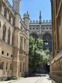 🌿 Did you know Cambridge has a hidden side beyond the famous colleges?