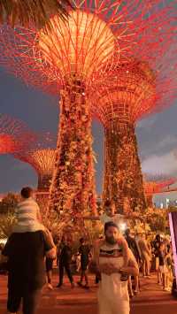 Unforgettable Day at Gardens by the Bay: Perfect for All Ages