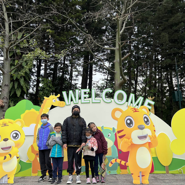 Fun experience at Shenzhen Safari Park