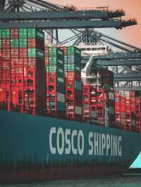 Worlds BUSIEST container port in Hong Kong