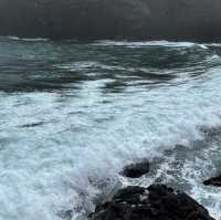 济州岛玩乜嘢？牛島冲啊！