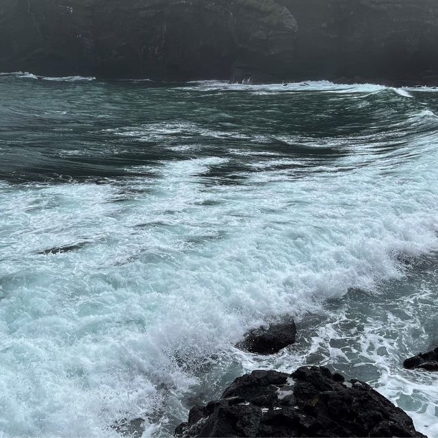 济州岛玩乜嘢？牛島冲啊！