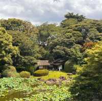 Tokyo’s treasure trove, the national museum