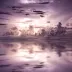 NightingaleRiver11SD