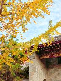西安｜香積寺｜千年古刹名寺