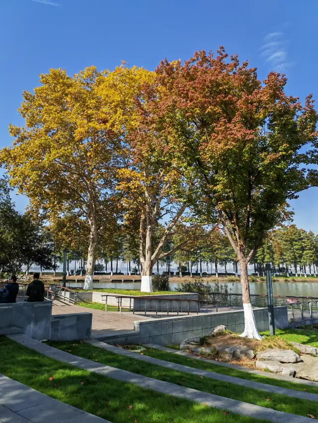 East Lake Moshan Scenic Area