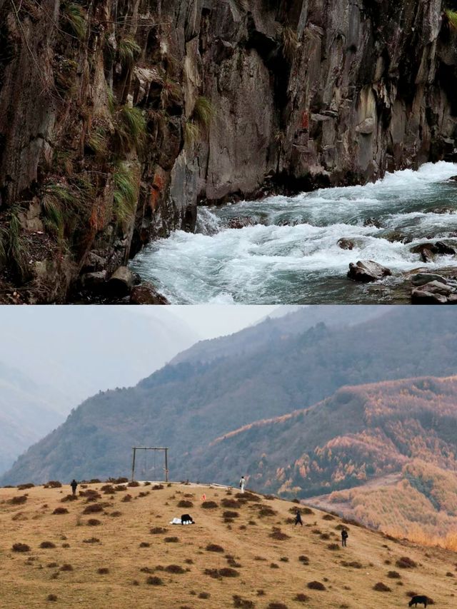 人間忽晚，山河已秋--川西彩林