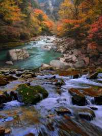 ●陝西黎坪國家森林公園！被光霧山掩蓋的紅葉秘境