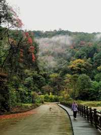 雲煙過眼秋還在撿葉一笑卻道天涼民宿還暖