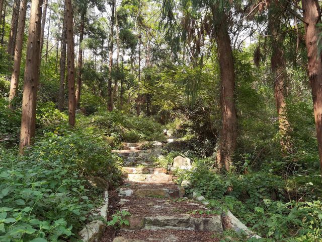 湖北孝感雙峰山森林公園，武漢周邊遊好選擇