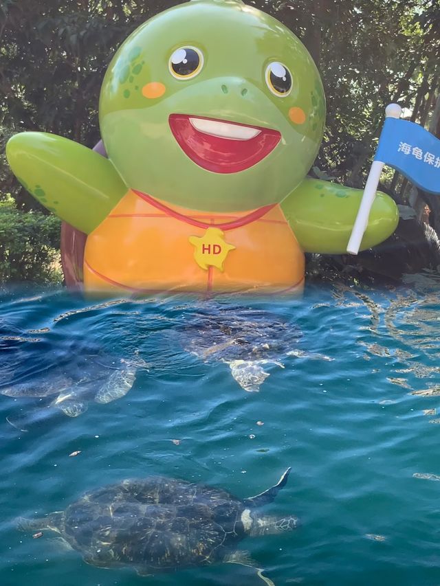 惠州超美超好拍的打卡地，值得收藏