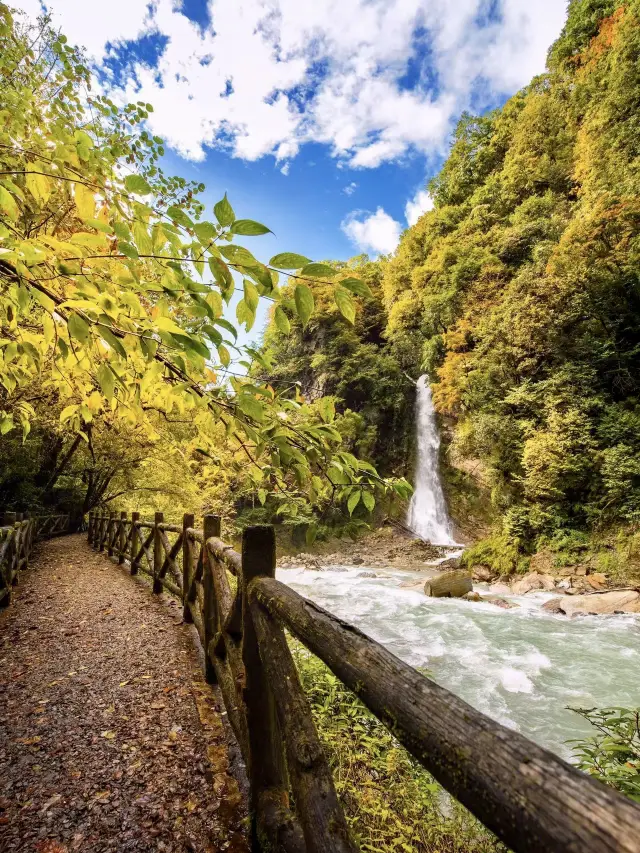 Autumn Appreciation Guide | Explore the Autumn Scenery of Ya'an Secret Land, Laba River