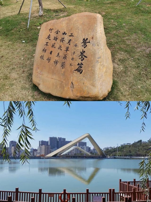 廉江櫻花公園穿梭在花海中的散步指南