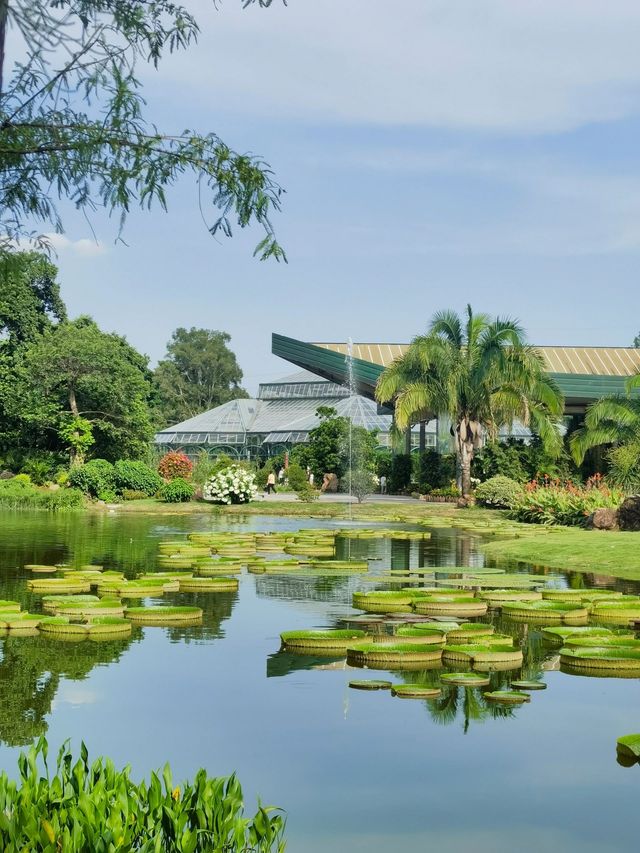 廣州遊玩好去處｜華南植物園