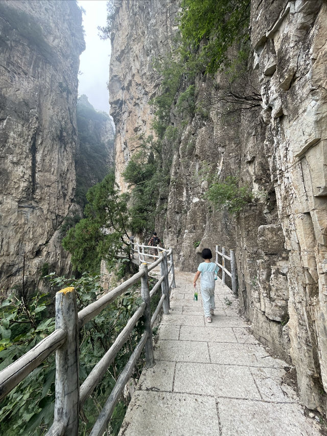 雲蒙山皇家森林公園徒步