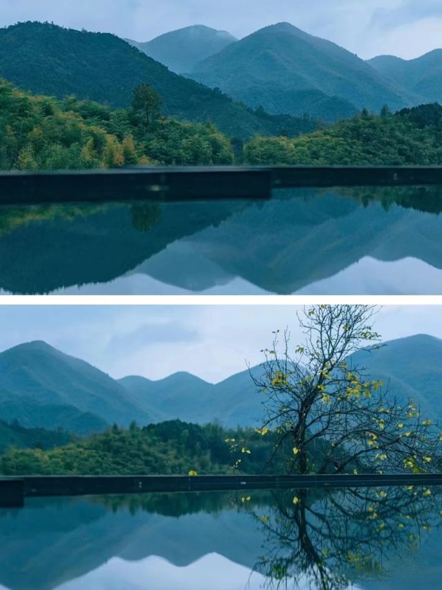 探索秋日的可可花園民宿 南方的秋日是從落雨開始的,竹葉翠綠中泛點黃,空氣中充斥著清晰的泥土味,位於 探索秋日的可可花園民宿 南方的秋日是從落雨開始的,竹葉翠綠中泛點黃,空氣中充斥著清晰的泥土味,位於