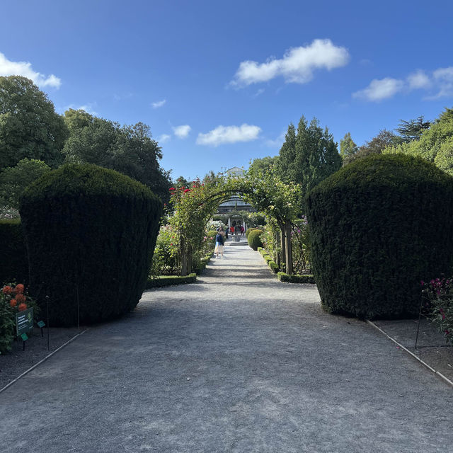 Explore City and Nature in Christchurch!