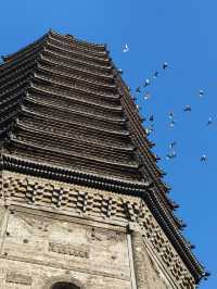 公園裡有遼塔有寺廟還有木化石