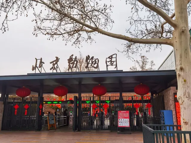 北京動物園の冬の日常のスナップショット