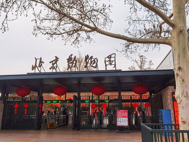 北京動物園冬日隨拍