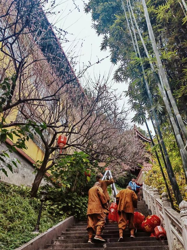 浙江杭州淨慈寺—剛好花開，遇見是緣