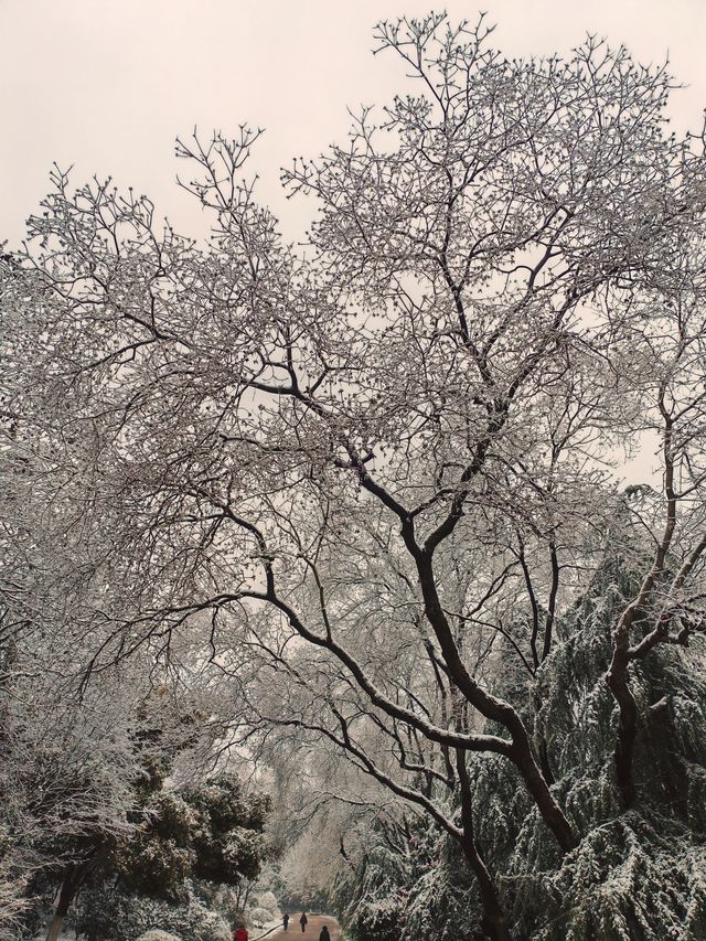 古金陵四十八景之一的～永济江流