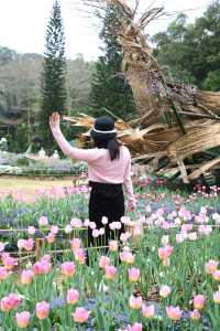 深圳版“莫奈花園”，仙湖植物園鬱金香拍照攻略