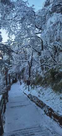 峨眉山的雪景和雲海是每年都值得親臨一次的美景