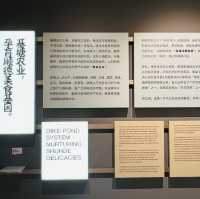 打卡順德美食博物館