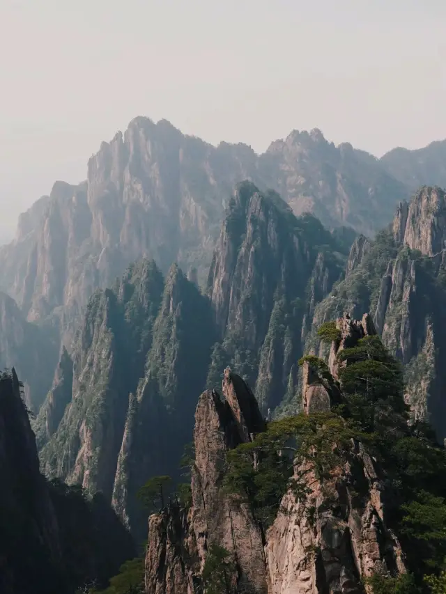 At this moment, Mount Huangshan resembles an ink wash landscape painting, are you sure you don't want to come?