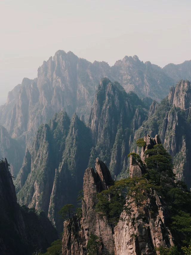 此時的黃山像一幅潑墨山水畫，你確定不來嗎