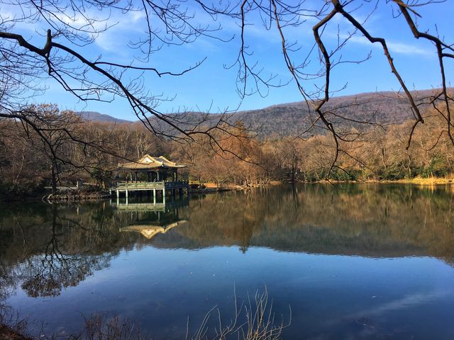 南京春日騎行—金色鍾山