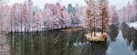 你見過冬季的燕雀湖嗎？