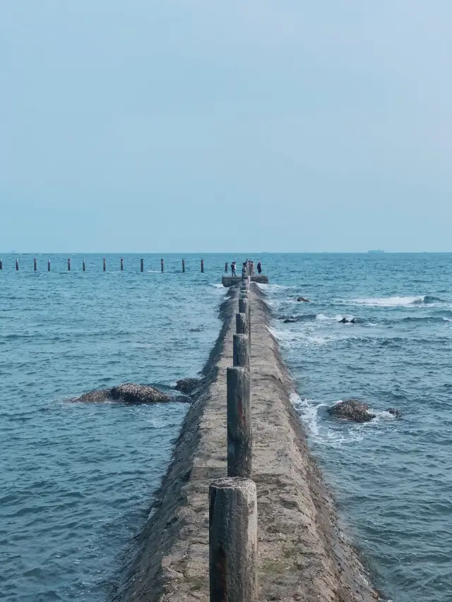 Always try to visit Qingdao before the seagulls fly away