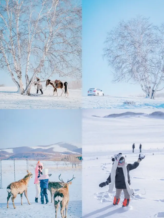 Suitable for 4+ years old kids! Ulan Bator in the suburbs of Beijing, the real version of Frozen