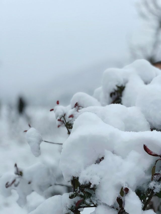 在宜春遇見最美的雪景！