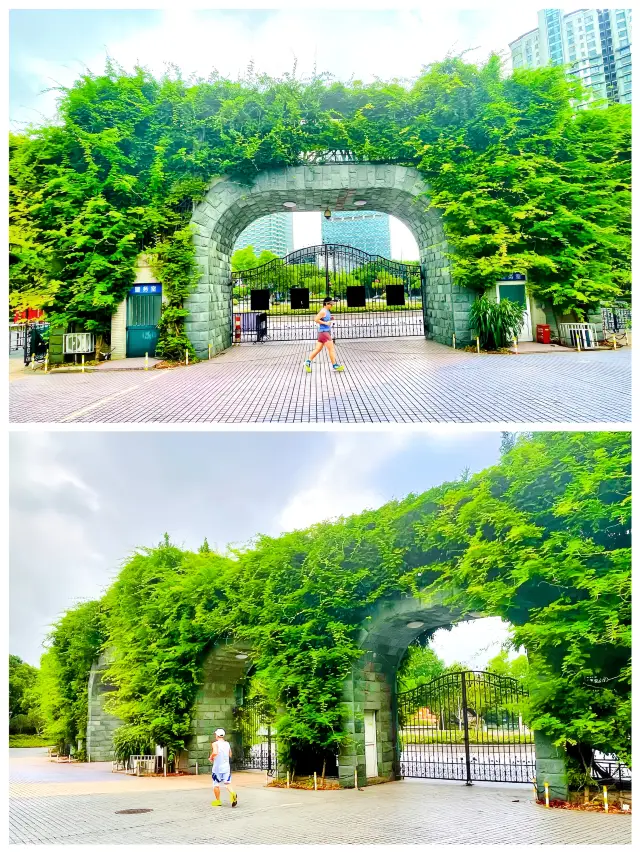 올여름 세기 공원 '향화원'이 천미터의 울타리를 벗어뜨려 주변 거리와 하나가 되었습니다!