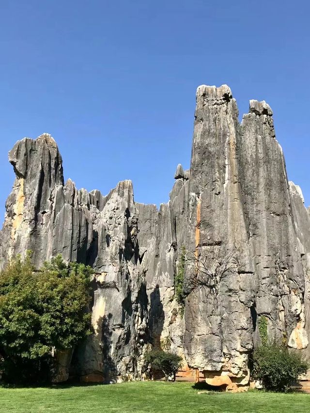 遊昆明石林風景區有感