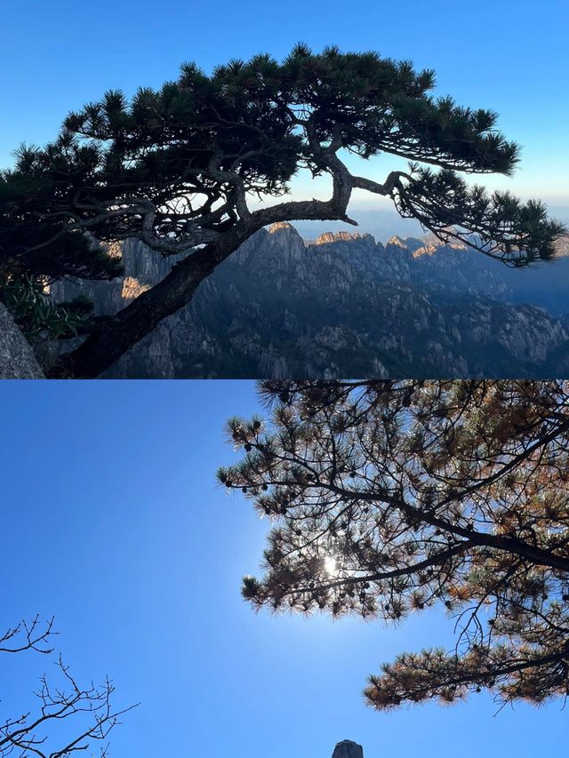 五岳歸來不看山，黃山歸來不看岳