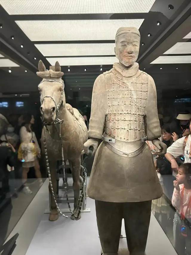 Step into the Eighth Wonder of the World—The Terracotta Army of Emperor Qin Shihuang