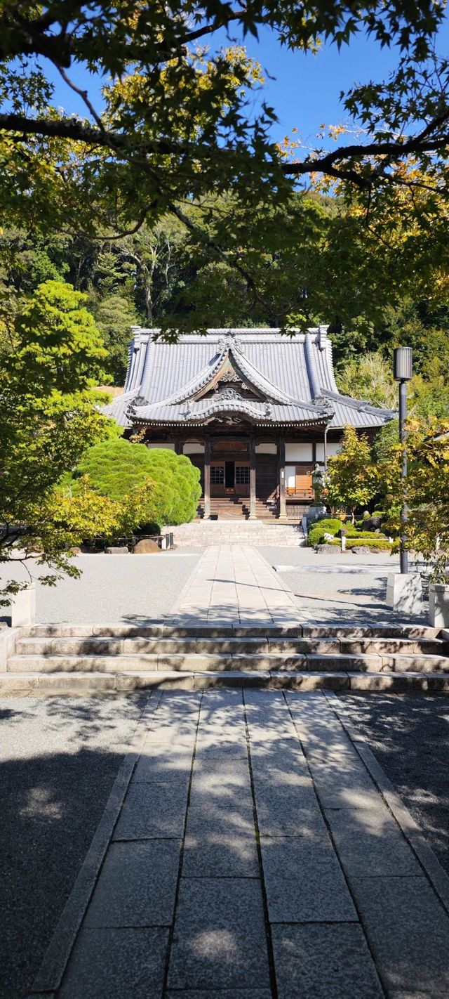 伊豆修善寺溫泉之旅：湯回廊菊屋的隱秘寶藏