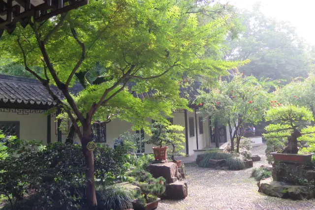 고전적인 강남 정원의 이백여 년 역사가 완전히 무료로 마도에서 여러분이 가보셨나요?