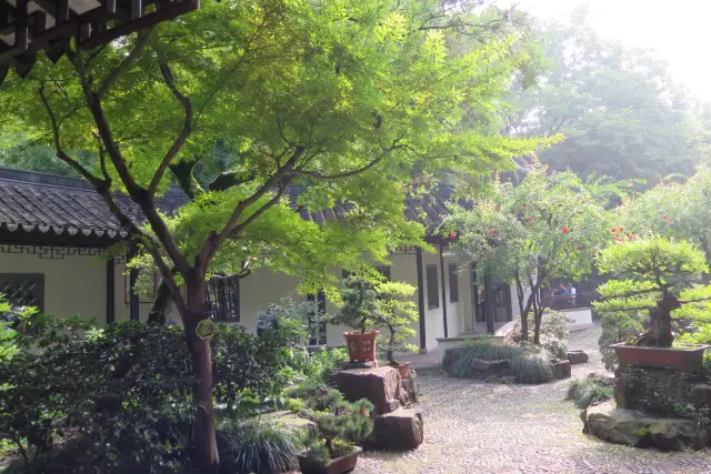 Have you visited the classical Jiangnan garden with over two hundred years of history, completely free of charge, in the Magic City?