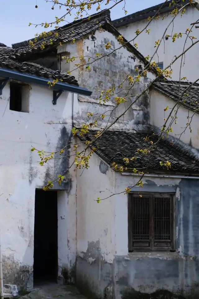 Fuyang | Went to Longmen Ancient Town today